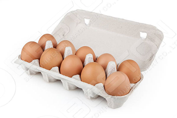 Protect Eggs by Paper Box