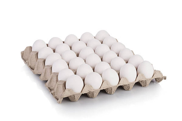 Paper Egg Tray