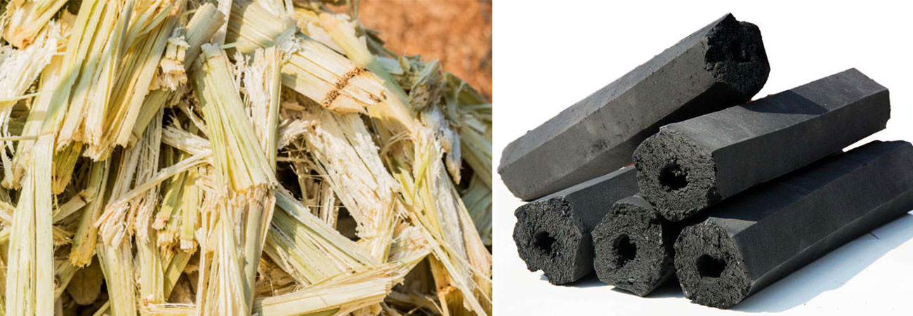 Sugarcane Bagasse To Charcoal Briquettes