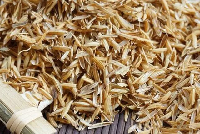 rice husk