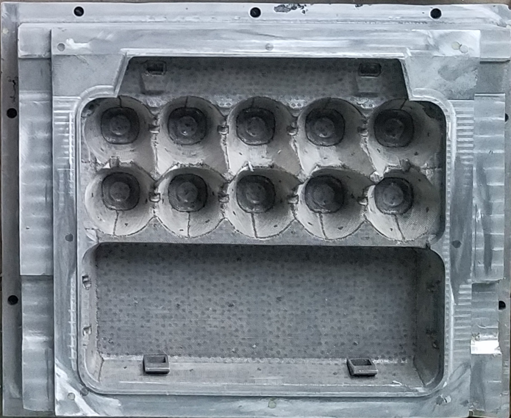 Egg Carton Mold
